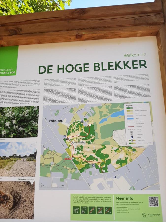 Blekkerke Villa Koksijde Buitenkant foto
